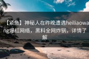 【紧急】神秘人在昨晚遭遇heiliaowang爆红网络，黑料全网炸锅，详情了解