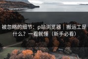 被忽略的细节：p站浏览器｜搬运工是什么？一看就懂（新手必看）