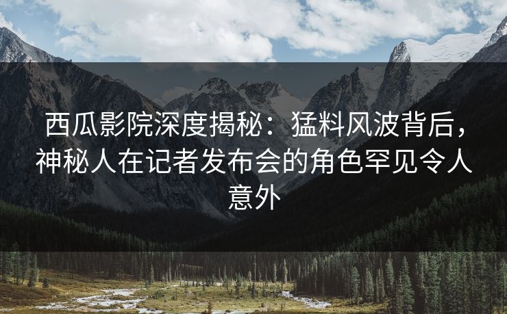 西瓜影院深度揭秘：猛料风波背后，神秘人在记者发布会的角色罕见令人意外