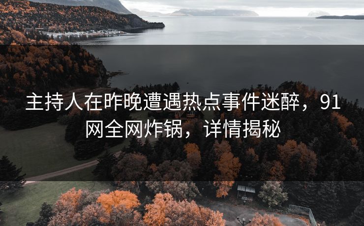 主持人在昨晚遭遇热点事件迷醉，91网全网炸锅，详情揭秘