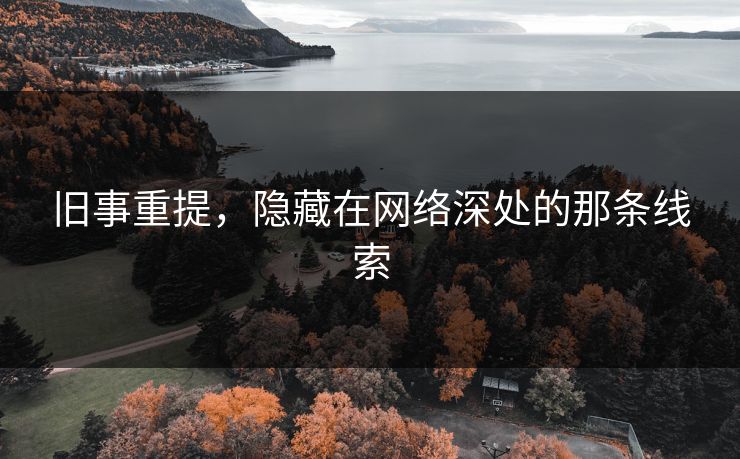 旧事重提，隐藏在网络深处的那条线索